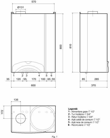 Ferroli domina c24e service manual